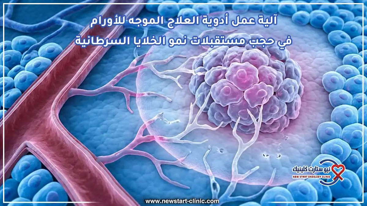 آلية عمل أدوية العلاج الموجه للأورام في حجب مستقبلات نمو الخلايا السرطانية