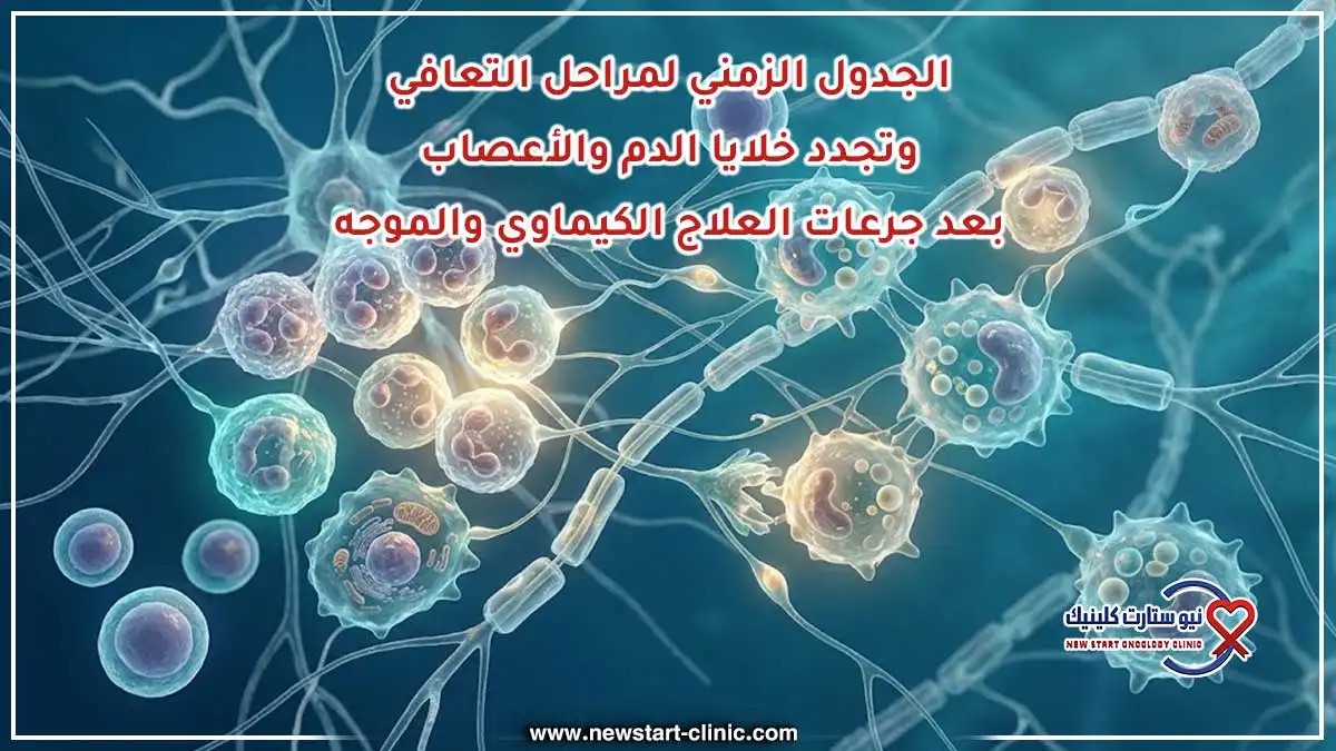 الجدول الزمني لمراحل التعافي وتجدد خلايا الدم والأعصاب بعد جرعات العلاج الكيماوي والموجه