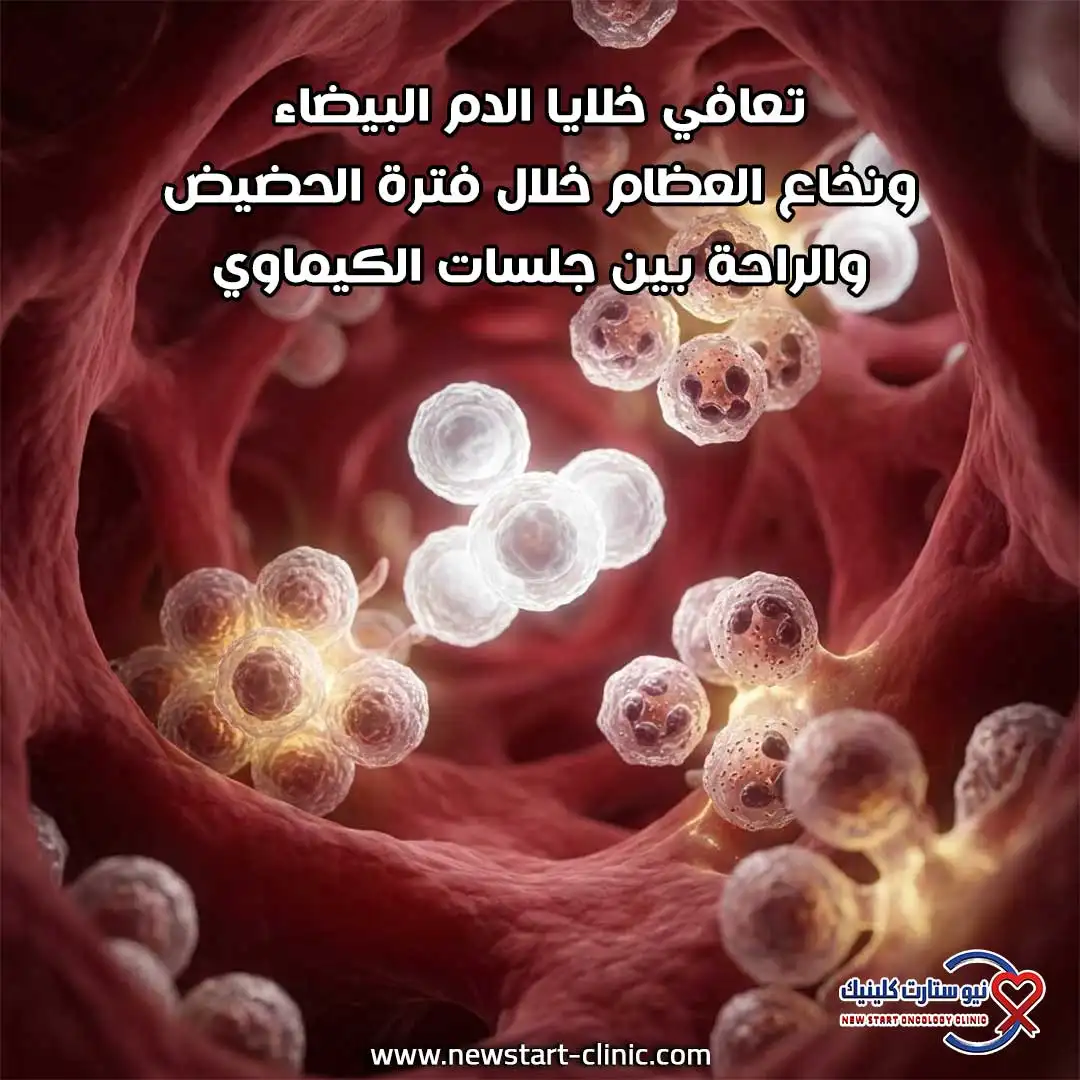 تعافي خلايا الدم البيضاء ونخاع العظام خلال فترة الحضيض والراحة بين جلسات الكيماوي