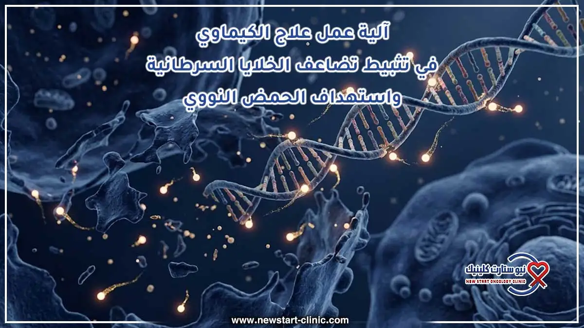 آلية عمل علاج الكيماوي في تثبيط تضاعف الخلايا السرطانية واستهداف الحمض النووي